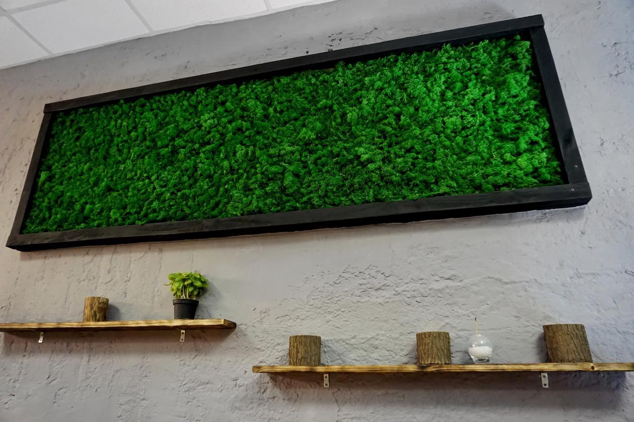 Black Wood Hostel Kijów Zewnętrze zdjęcie